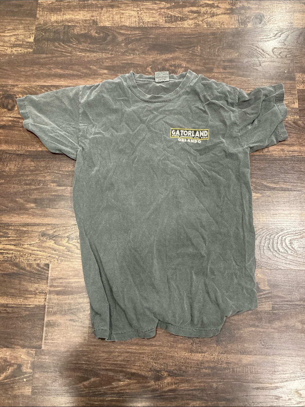 Orlando Men's Gray Graphic T-Shirt